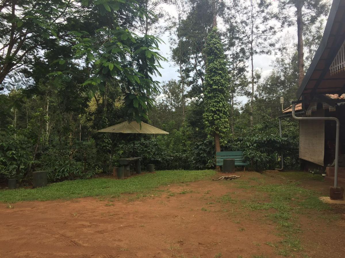 ホテル Wanders In Travel Company マディケーリ エクステリア 写真